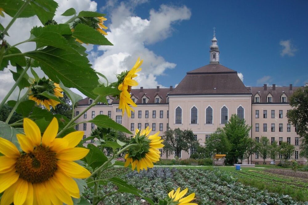 Vöcklabrucker Schwestern